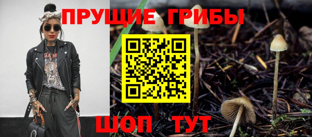 Псилоцибиновые грибы Psilocybe  Вход с VPN  Кировск 