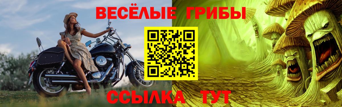 Псилоцибиновые грибы ЛСД Кировск